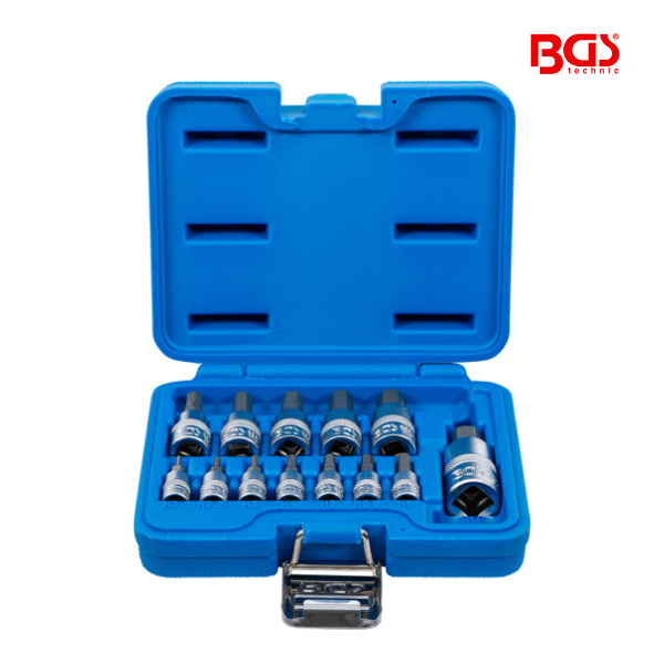 Conjunto de bits sextavada | 2 - 14 mm | 13 peças