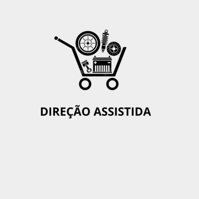 Direção Assistida