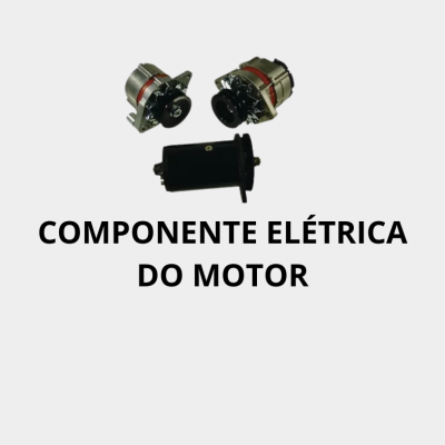 Componente Elétrica do Motor