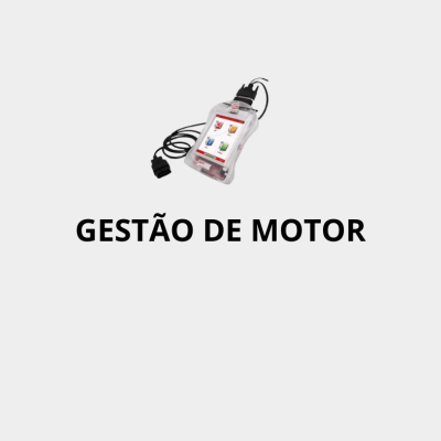 Gestão de Motor