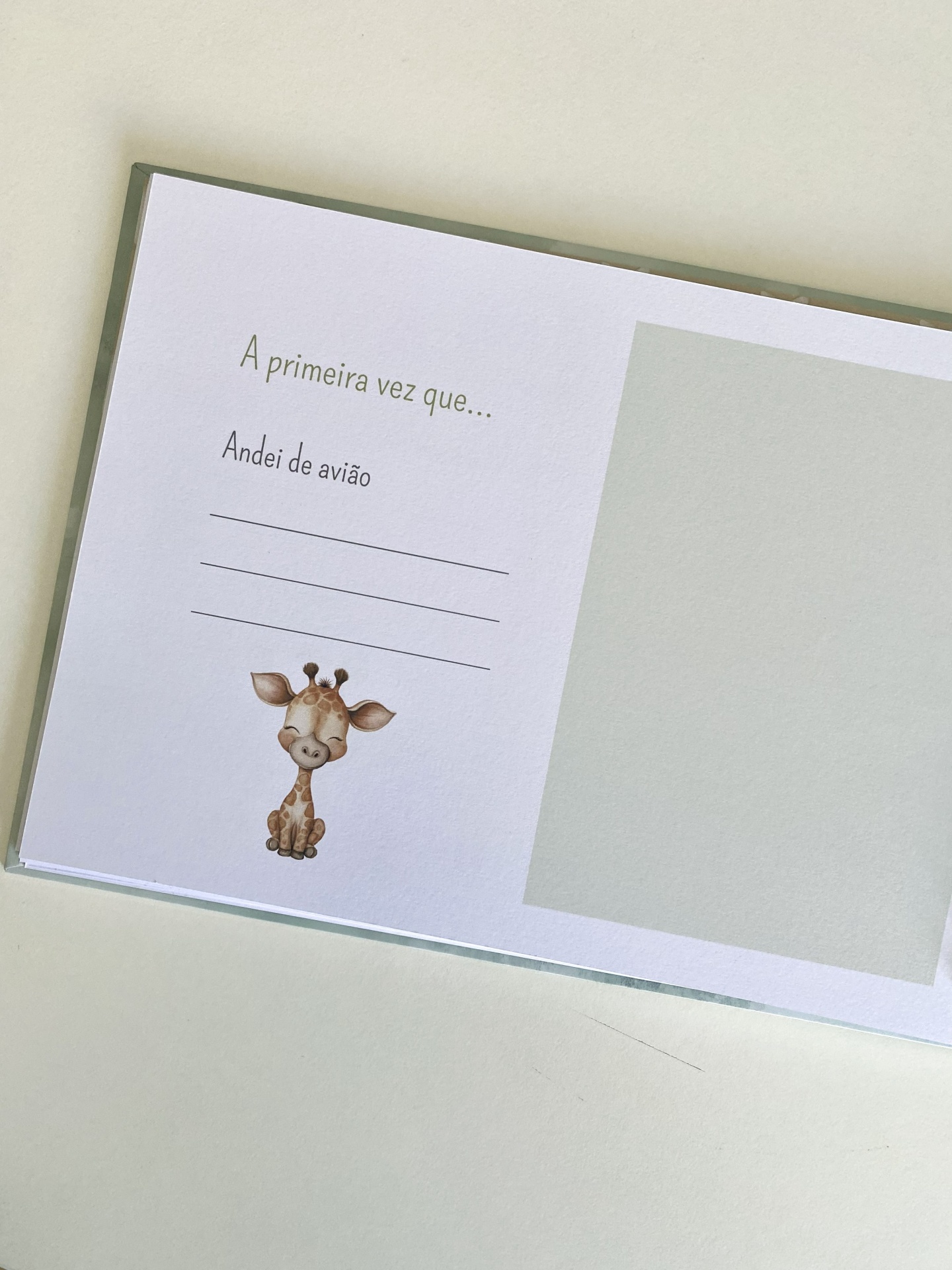 Amigos na Selva - Álbum do 1º Ano do Bebé - Menino