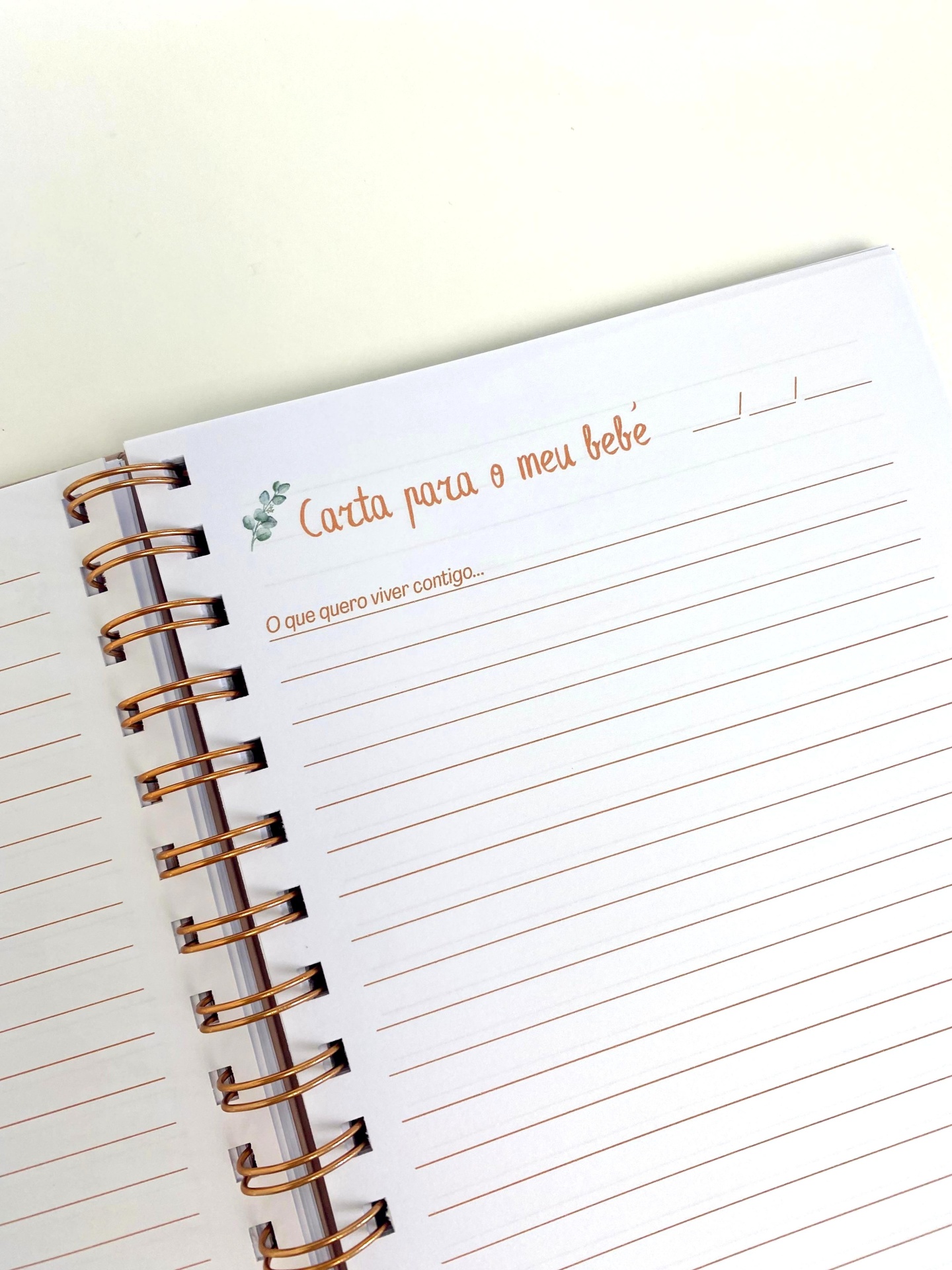 Diário de Gravidez  |  Alvor