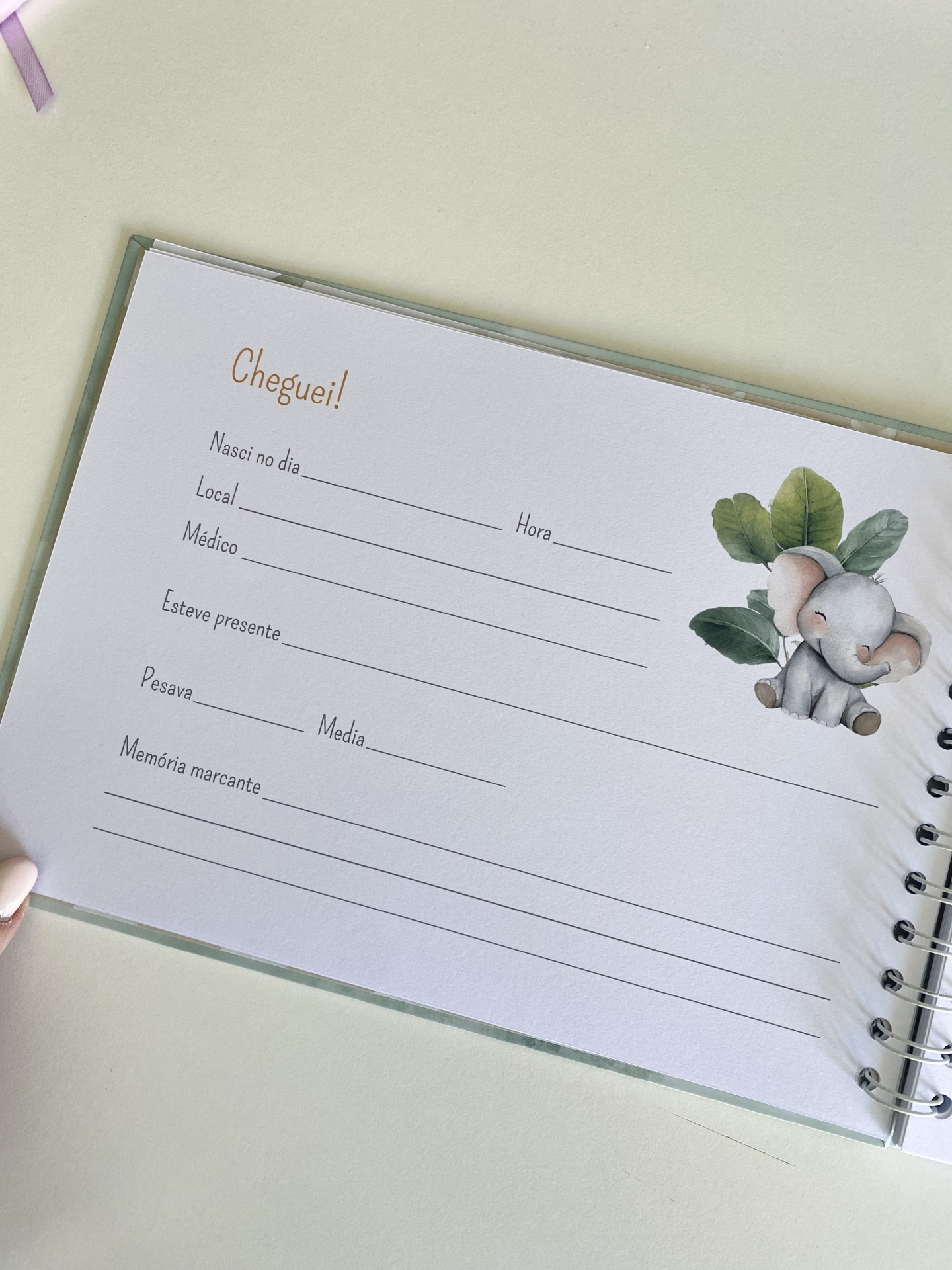 Amigos na Selva - Álbum do 1º Ano do Bebé - Menino