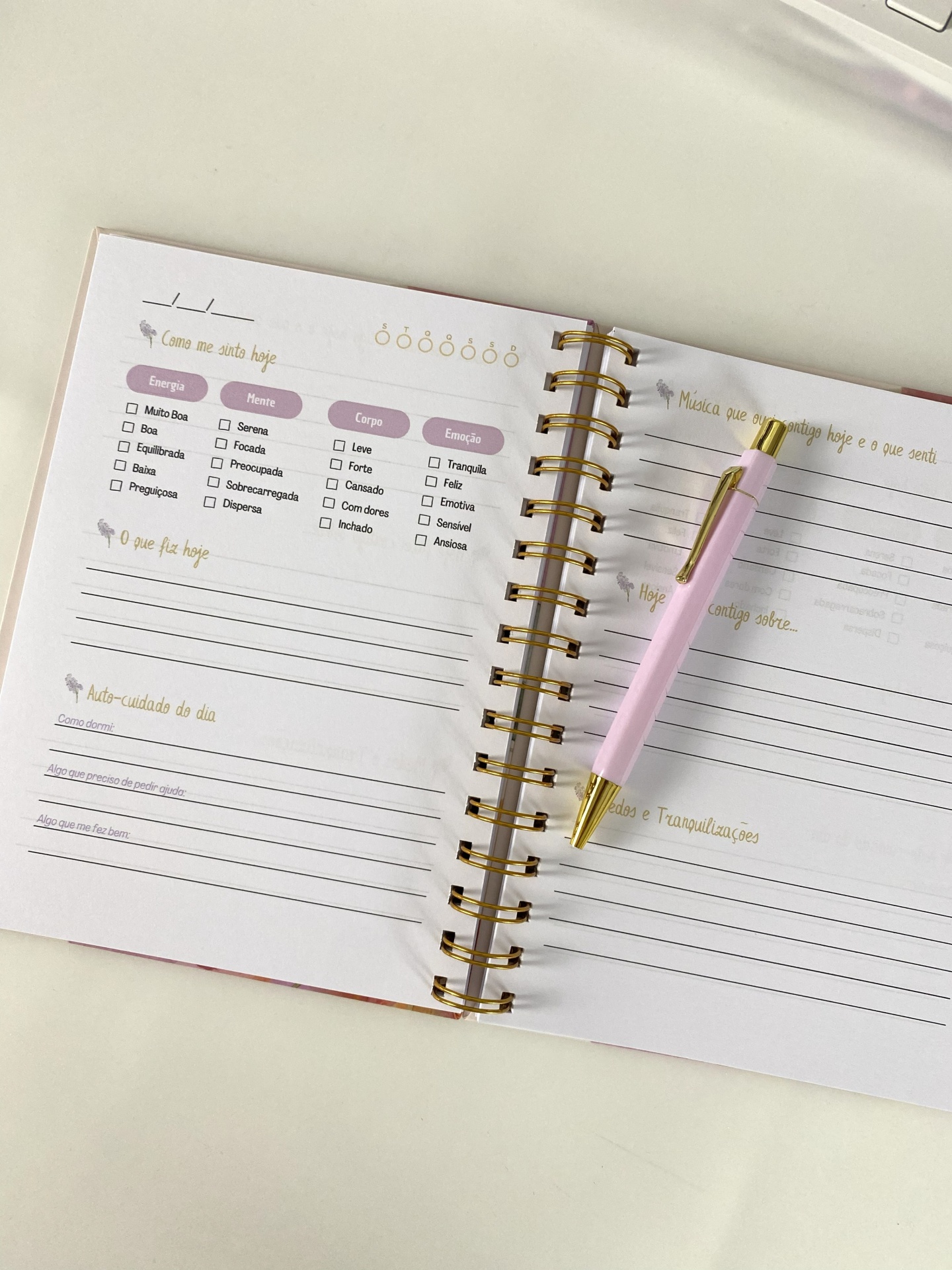 Diário de Gravidez  |  Florescer