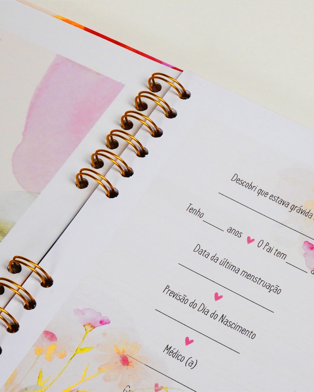 Diário de Gravidez  |  Florescer
