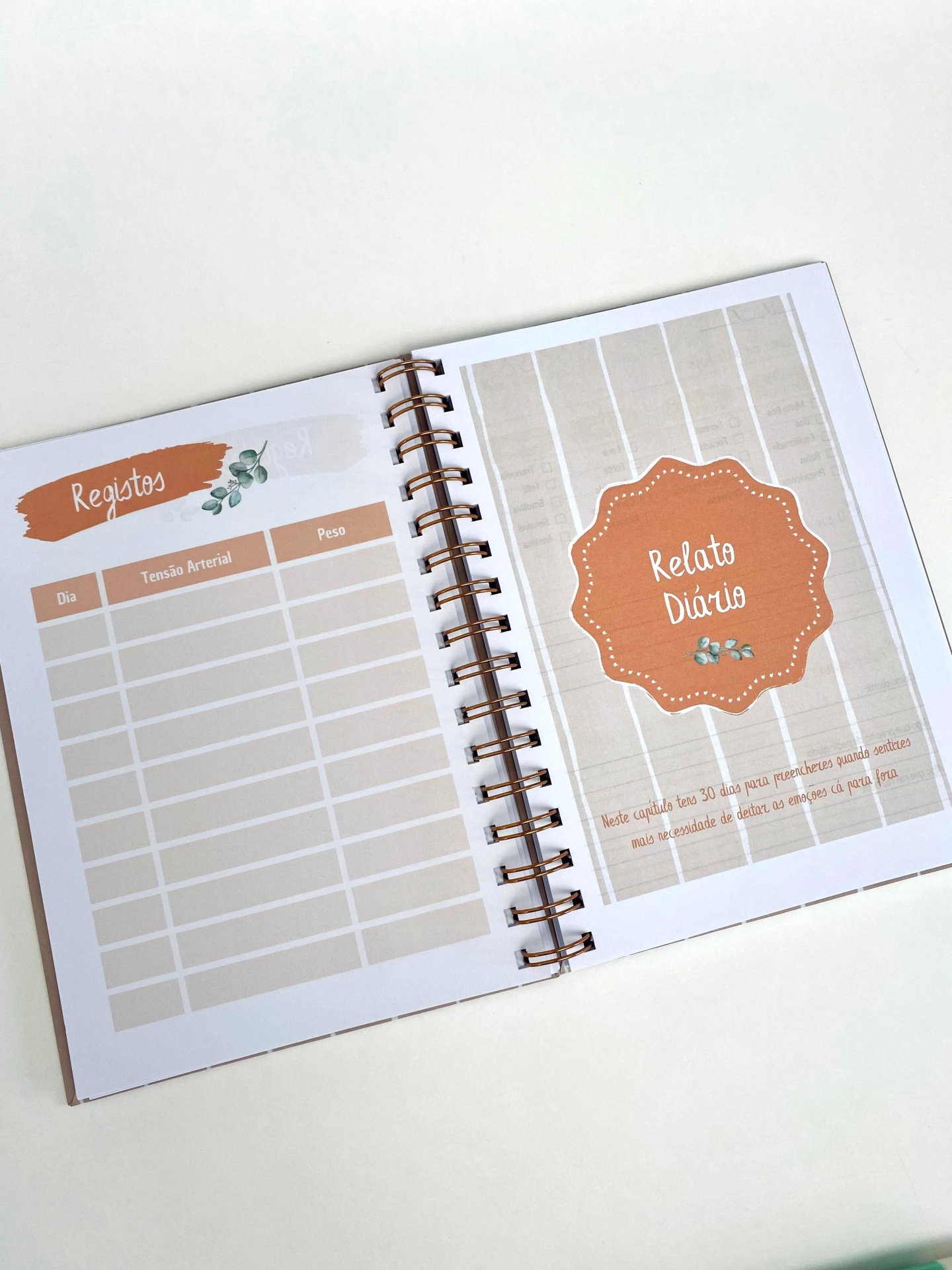 Diário de Gravidez  |  Alvor