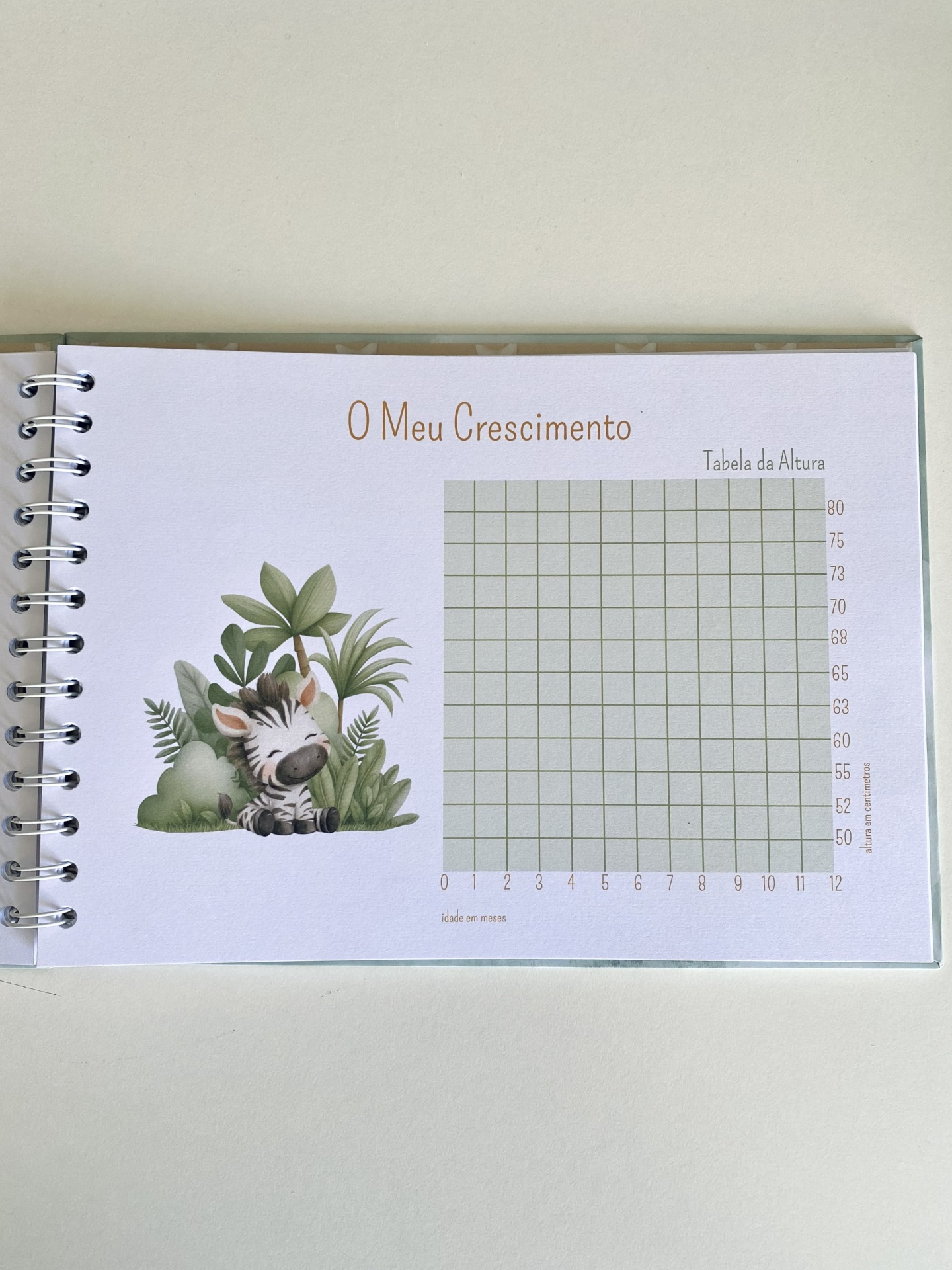 Amigos na Selva - Álbum do 1º Ano do Bebé - Menino