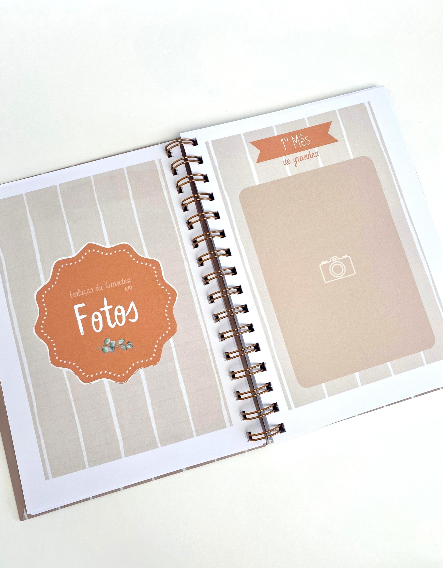 Diário de Gravidez  |  Alvor