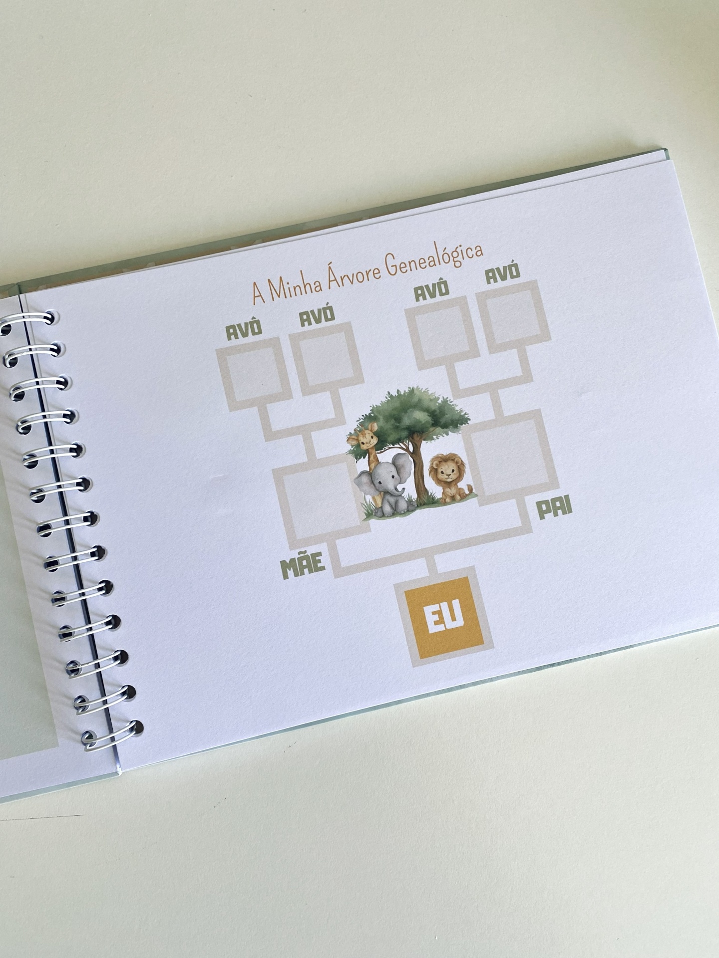 Amigos na Selva - Álbum do 1º Ano do Bebé - Menino