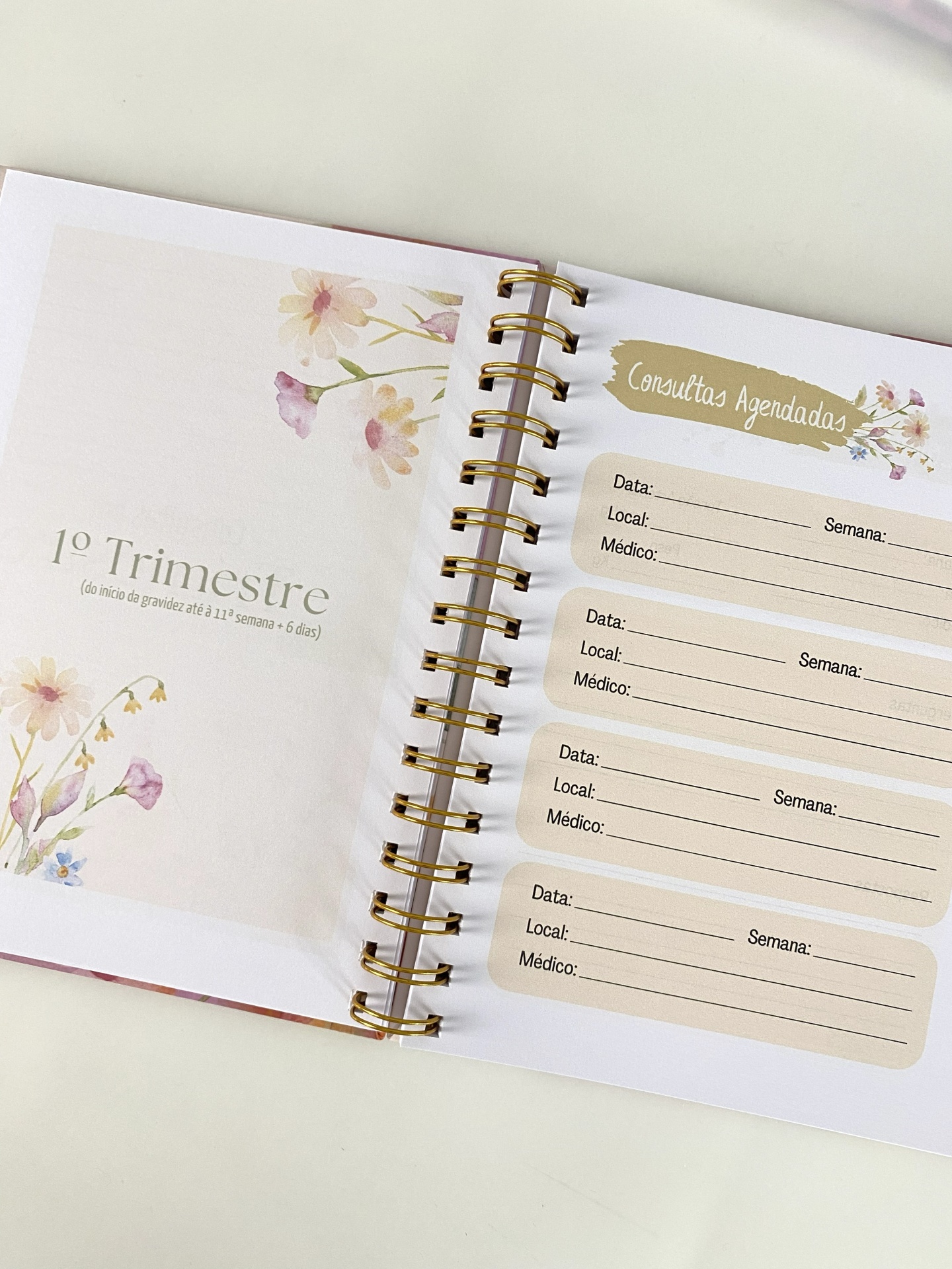 Diário de Gravidez  |  Florescer