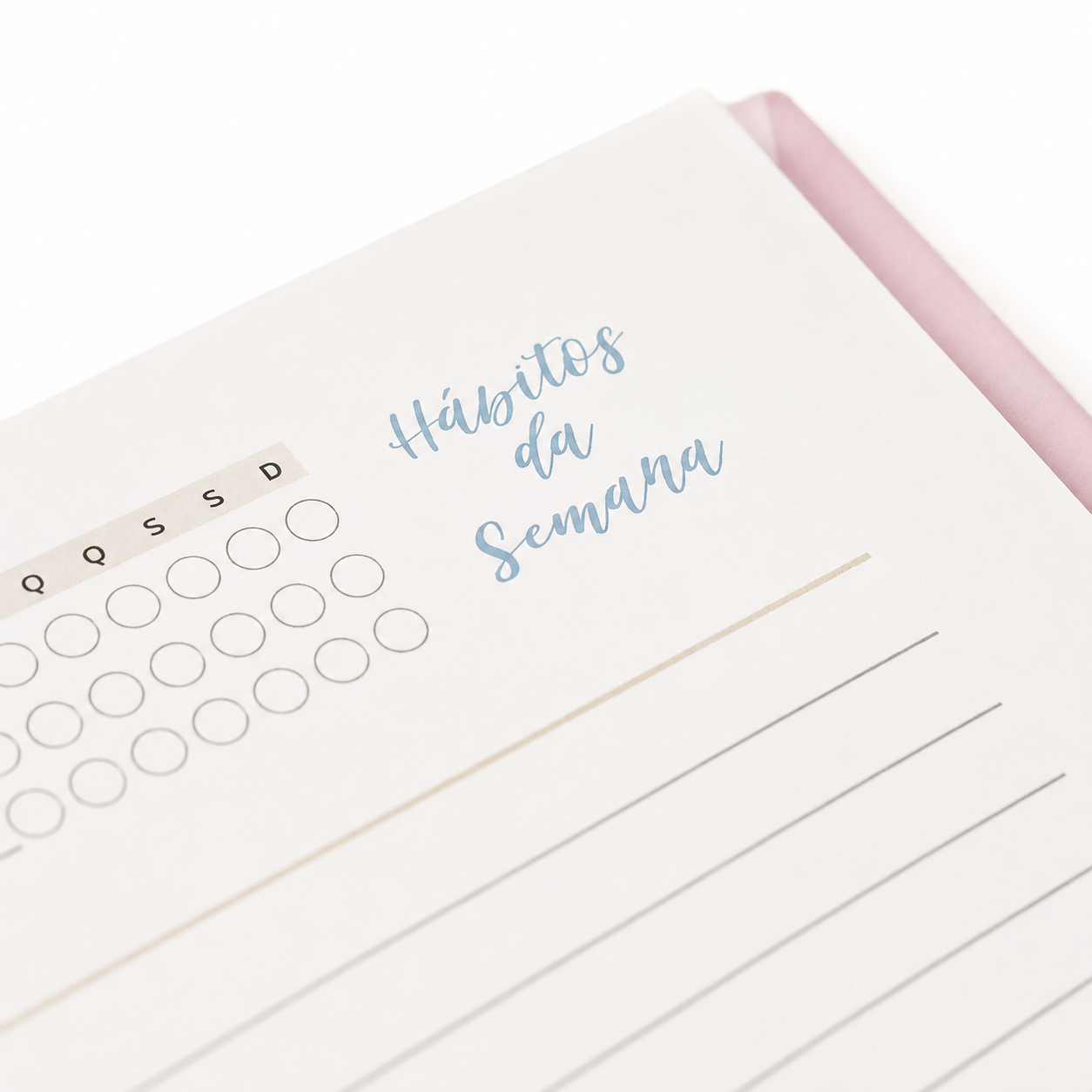 Agenda "Linho"