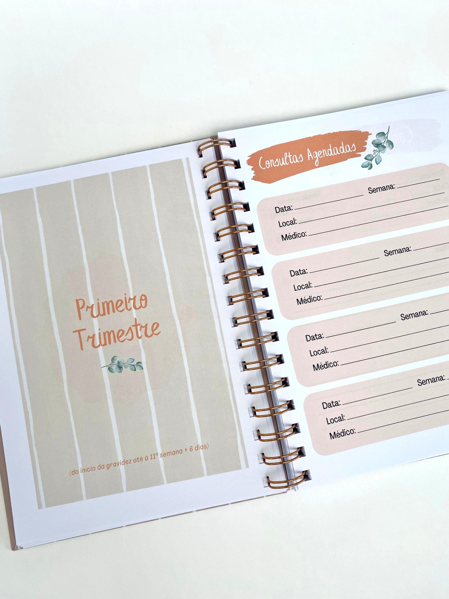 Diário de Gravidez  |  Alvor