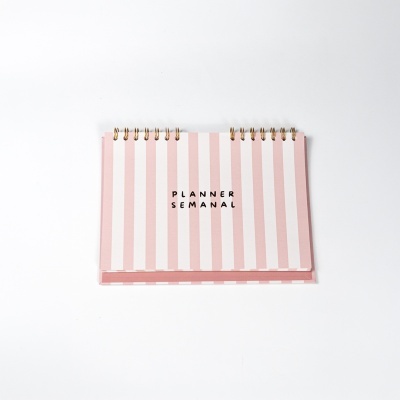 Planner Semanal de secretária “Coralie”