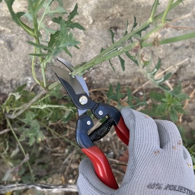 Tesoura Winland 165mm