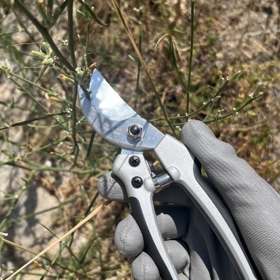 Tesoura Winland 205mm