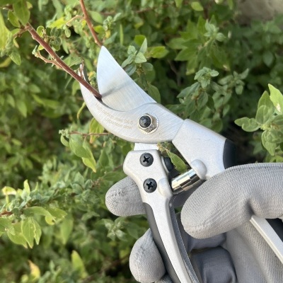 Tesoura Winland 205mm