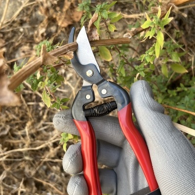 Tesoura Winland 165mm