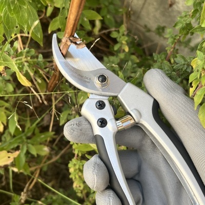 Tesoura Winland 205mm