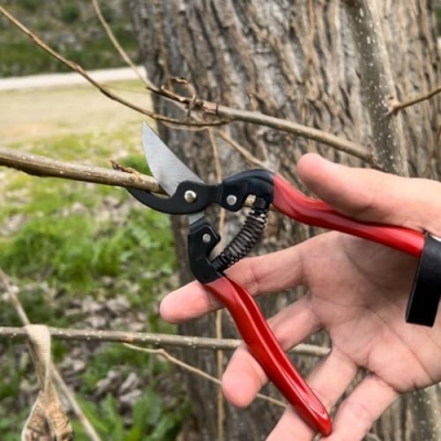 Tesoura Winland 165mm