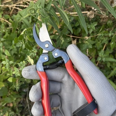 Tesoura Winland 165mm