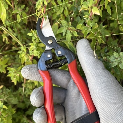 Tesoura Winland 165mm