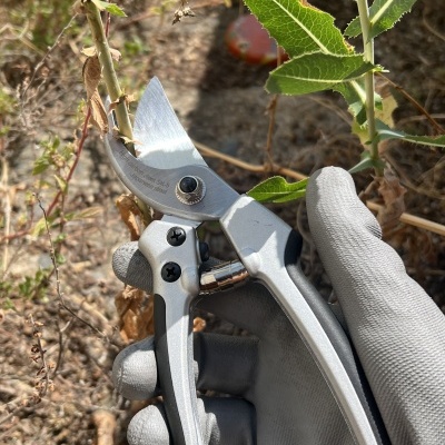 Tesoura Winland 205mm