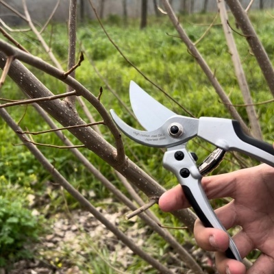 Tesoura Winland 205mm