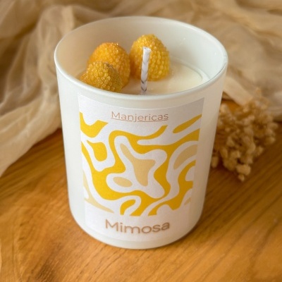 Mimosa