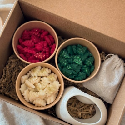 Coffret Premium Wax Melts