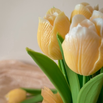 Jarra com tulipas em cera