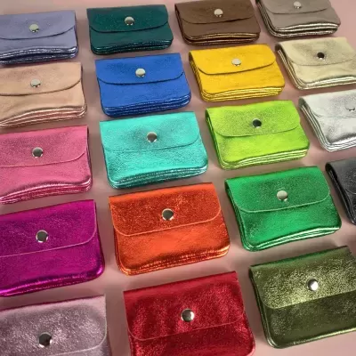 Carteira Pequena- Prateada