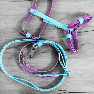 Conjunto Arnês e Trela Multifunções