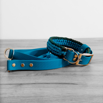 Conjunto Coleira + Trela
