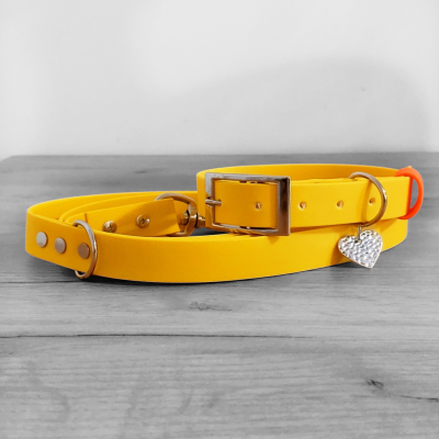 Conjunto coleira + Trela