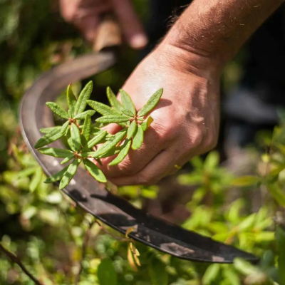 Yves Rocher | SOS Eliminador de Borbulhas Sebo Pure Végétal 10ml