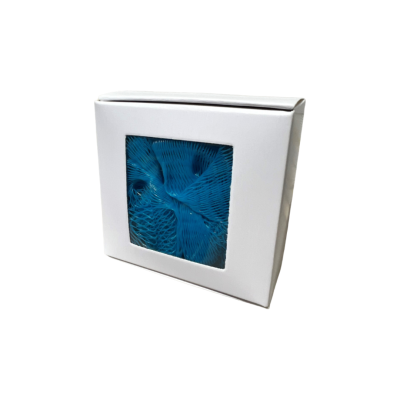 Esponja de Banho Azul Esponja de Banho Azul