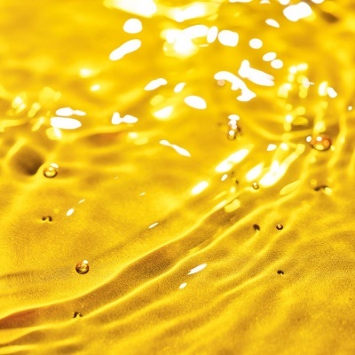 Yves Rocher | Programa Intensivo 16 Dias | Antiqueda Cabelo