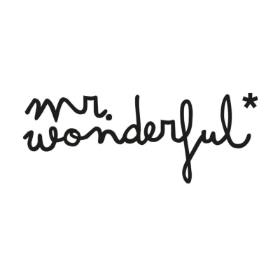mr. wonderful *
