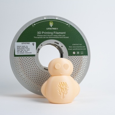 PLA Flesh Color - Diâmetro 1,75mm (1kg) - Lotactree