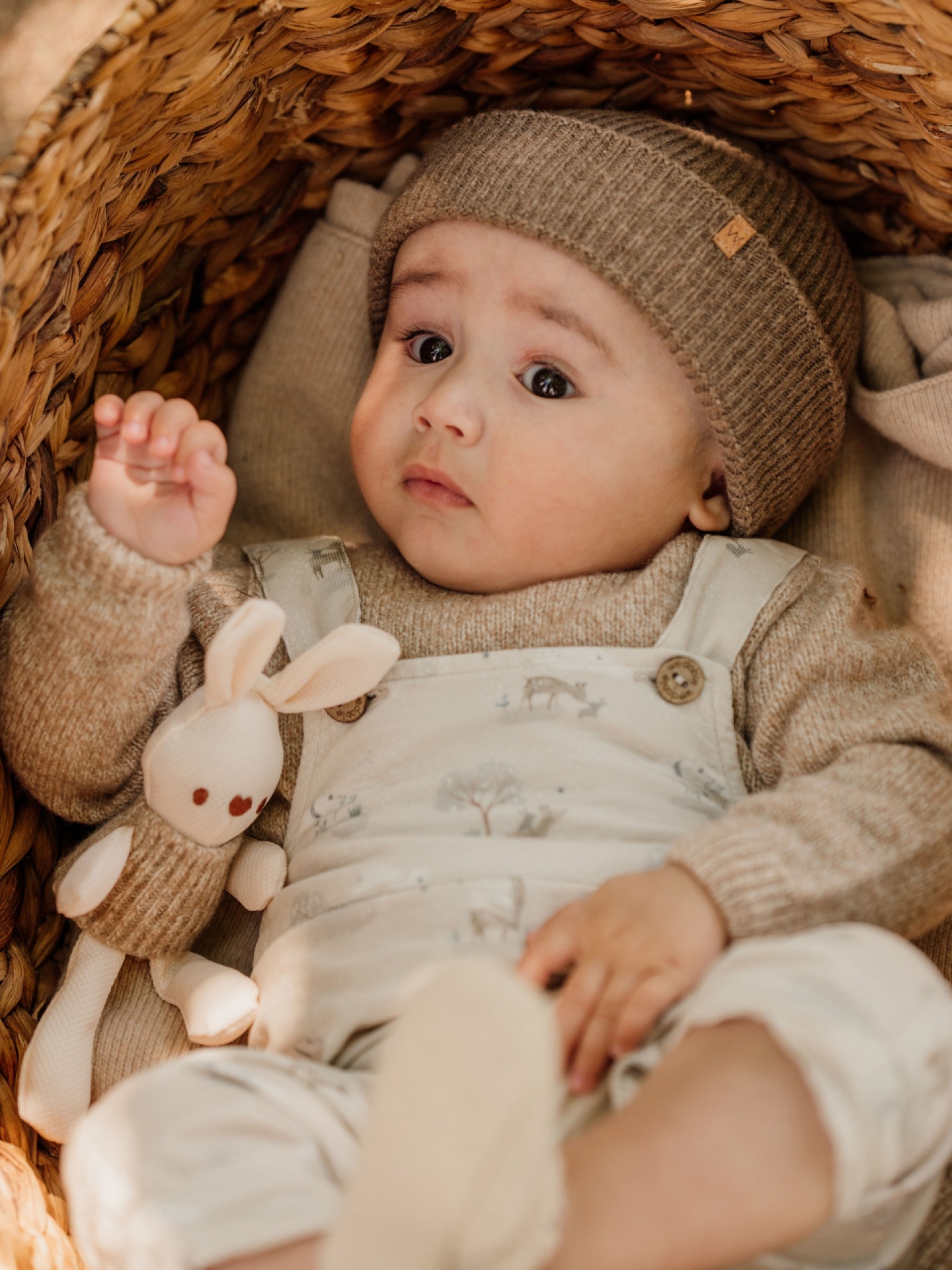 Jardineiras bombazine animais da floresta