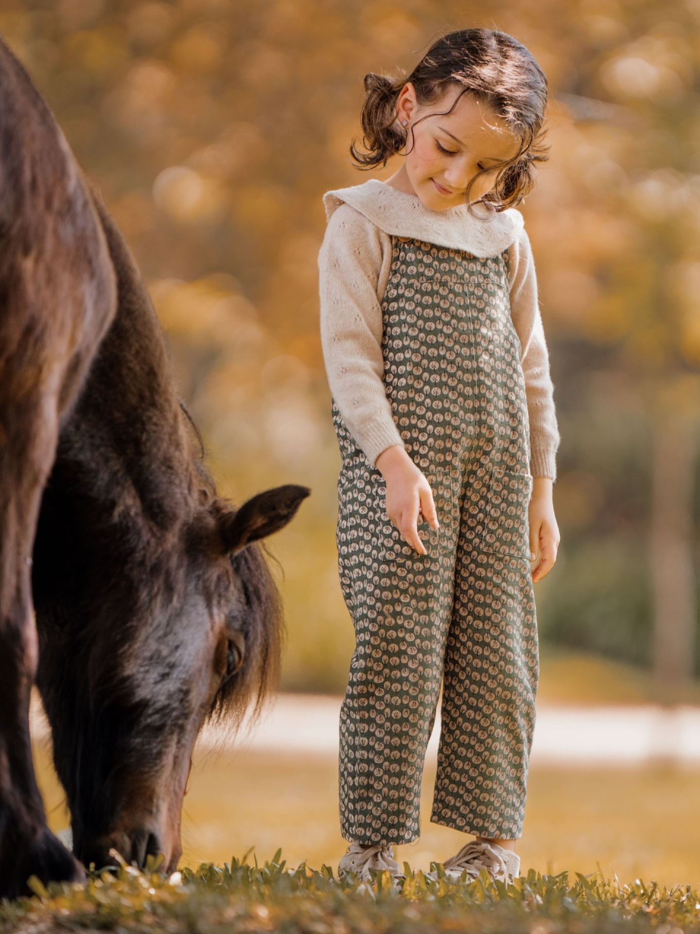 Camisola tricotada lã