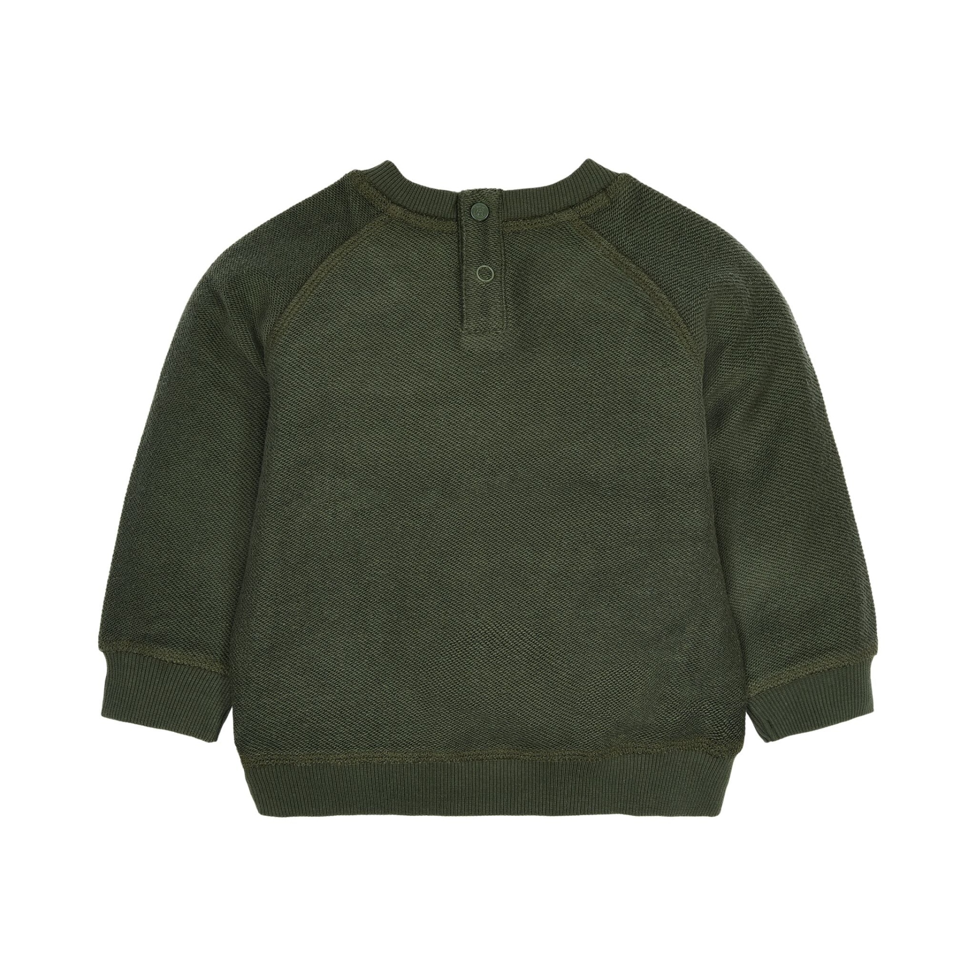 CAMISOLA SAFARI FRIENDS VERDE COM LEÃO