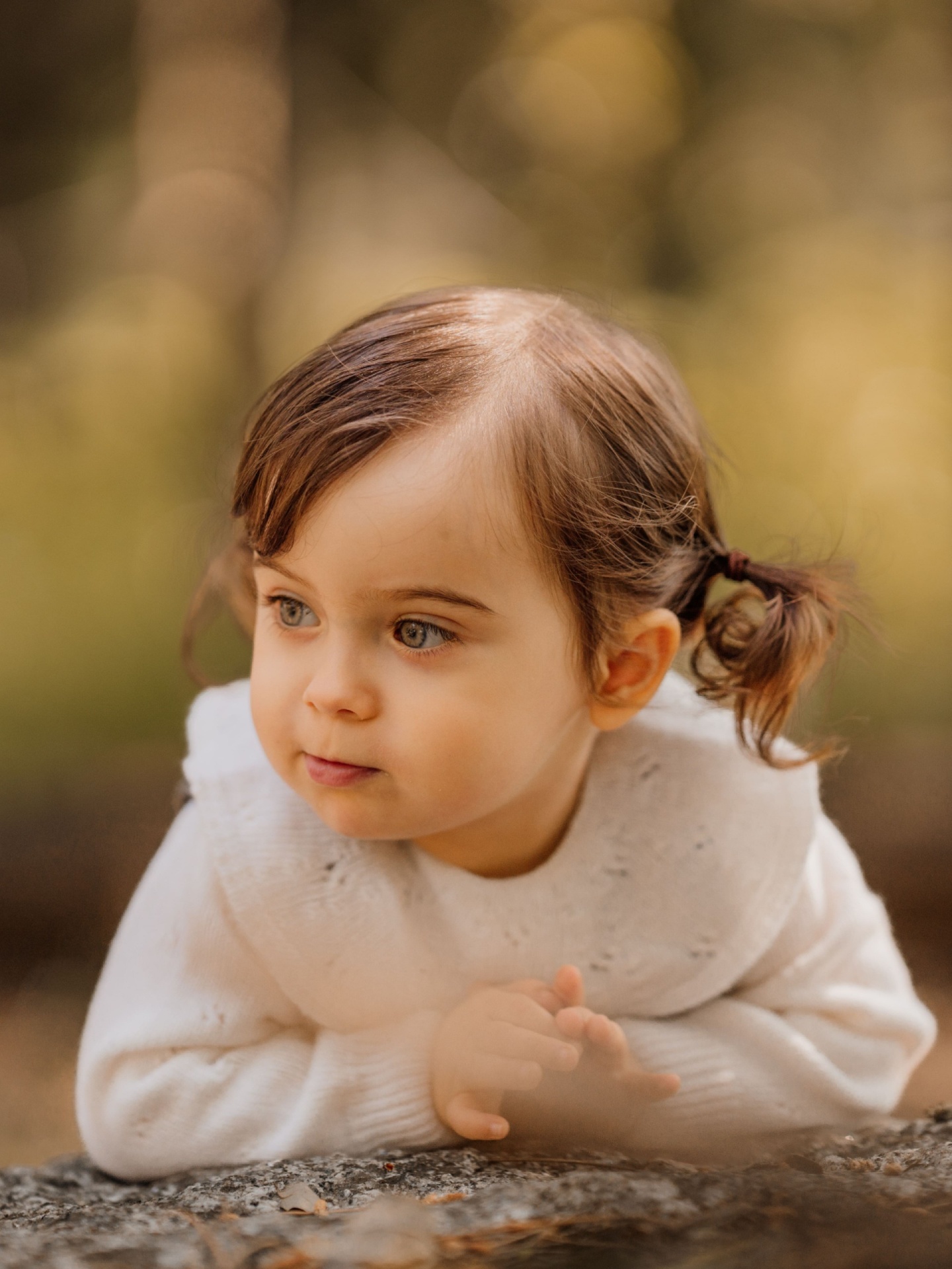 Camisola tricotada lã