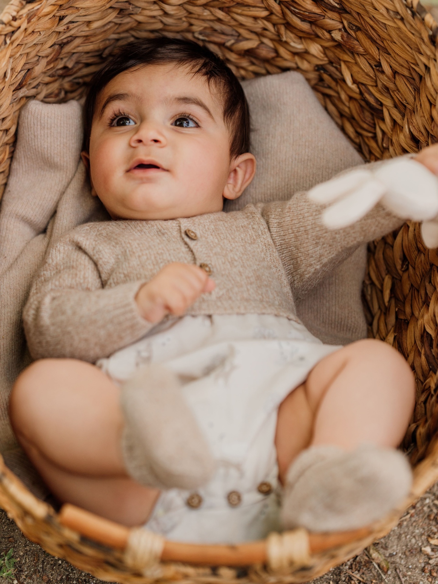 Fofo manga comprida animais da floresta