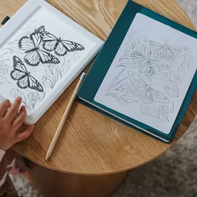 Kidywolf Kidydraw Pad Com Luz +10 Anos