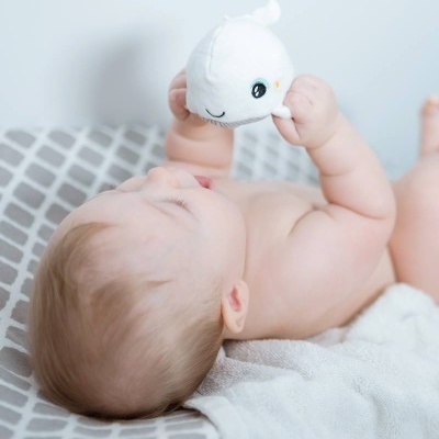 Pabobo Mini Peluche com luz Baleia