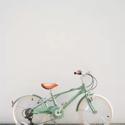 Banwood Bicicleta Clássica 20" Vintage Verde Floresta