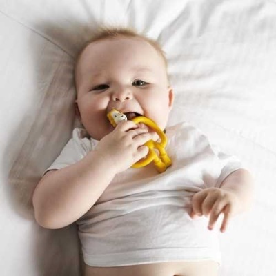 Matchstick Monkey Mordedor Leão