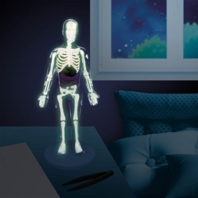 Buki Corpo Humano Brilha no Escuro