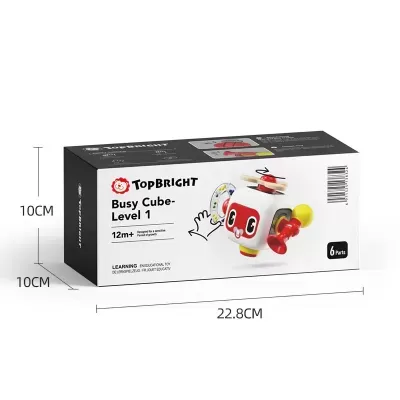 TopBright Cubo de Atividades 12M+